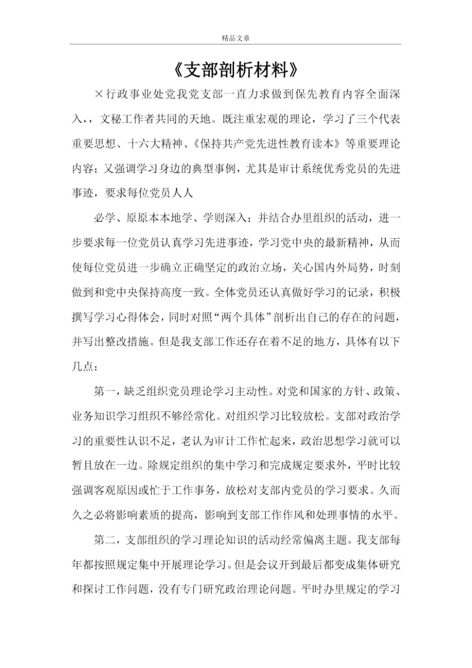 《支部剖析材料》_第1頁(yè)