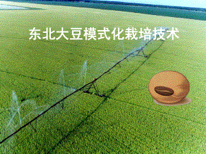 东北大豆模式化栽培技术