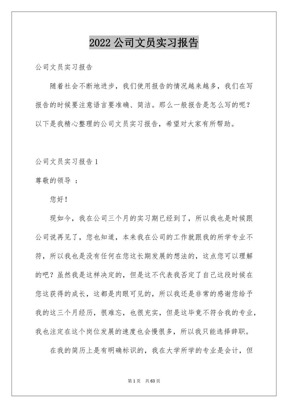 2022公司文员实习报告_第1页