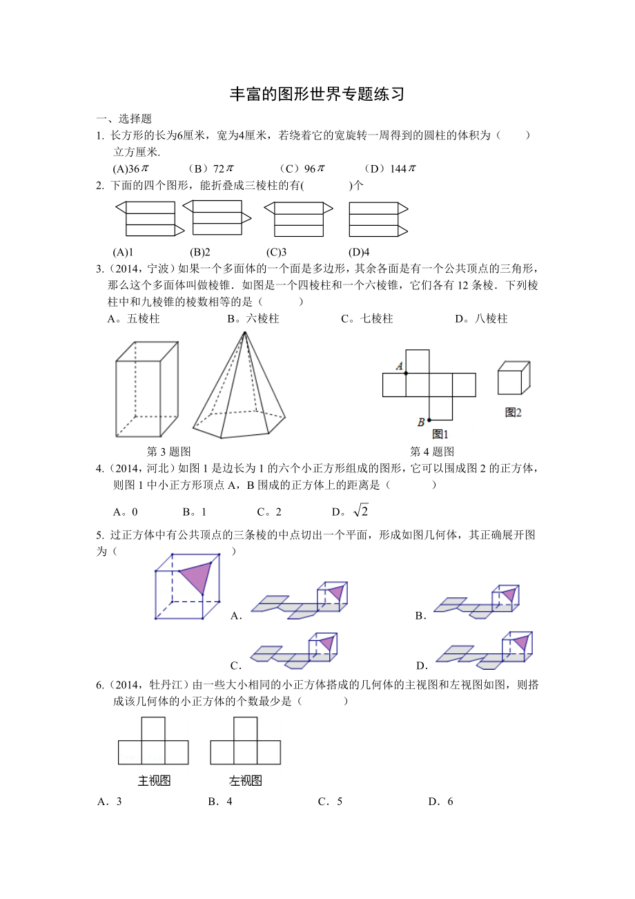 丰富的图形世界专题练习_第1页