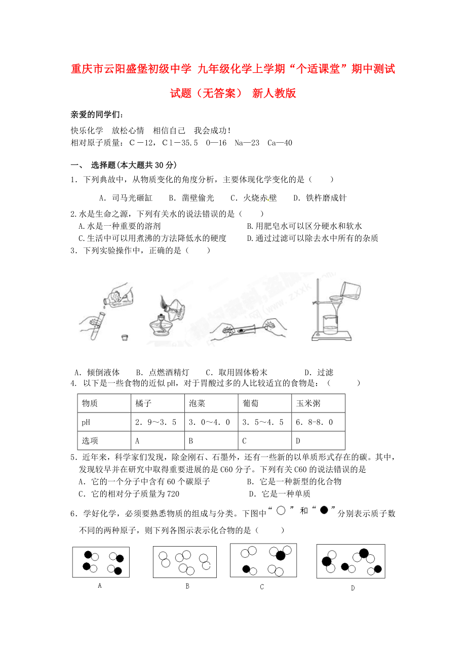 九年级化学上学期个适课堂期中测试试题无答案新人教版_第1页