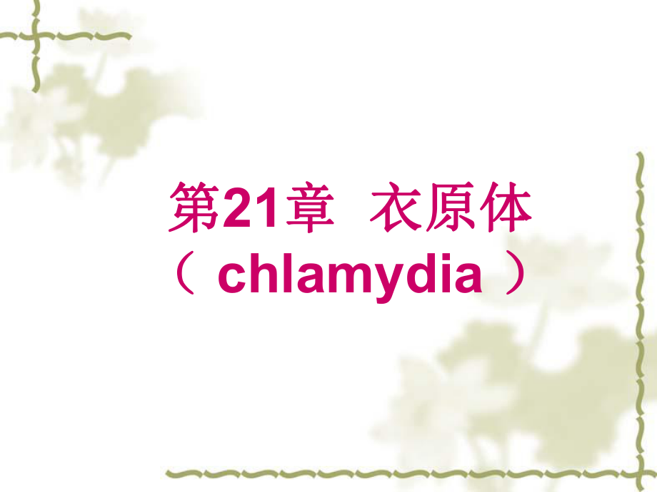 第21章衣原体chlamydia_第1页