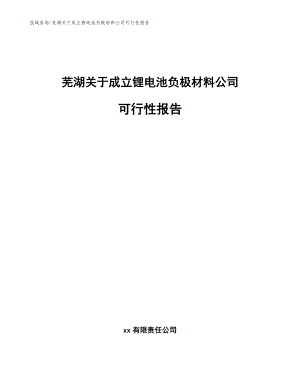 芜湖关于成立锂电池负极材料公司可行性报告【模板参考】