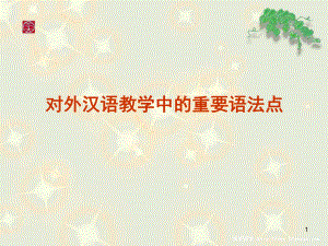 对外汉语重要语法点及其教学课堂PPT