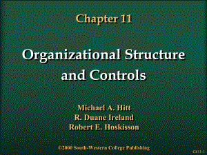 StructureandControls(战略管理,英文版)