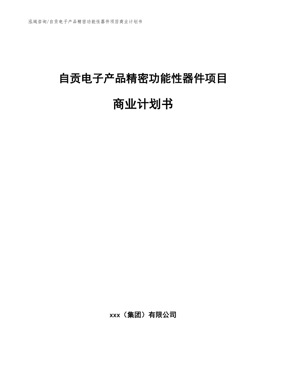 自贡电子产品精密功能性器件项目商业计划书（模板范本）_第1页