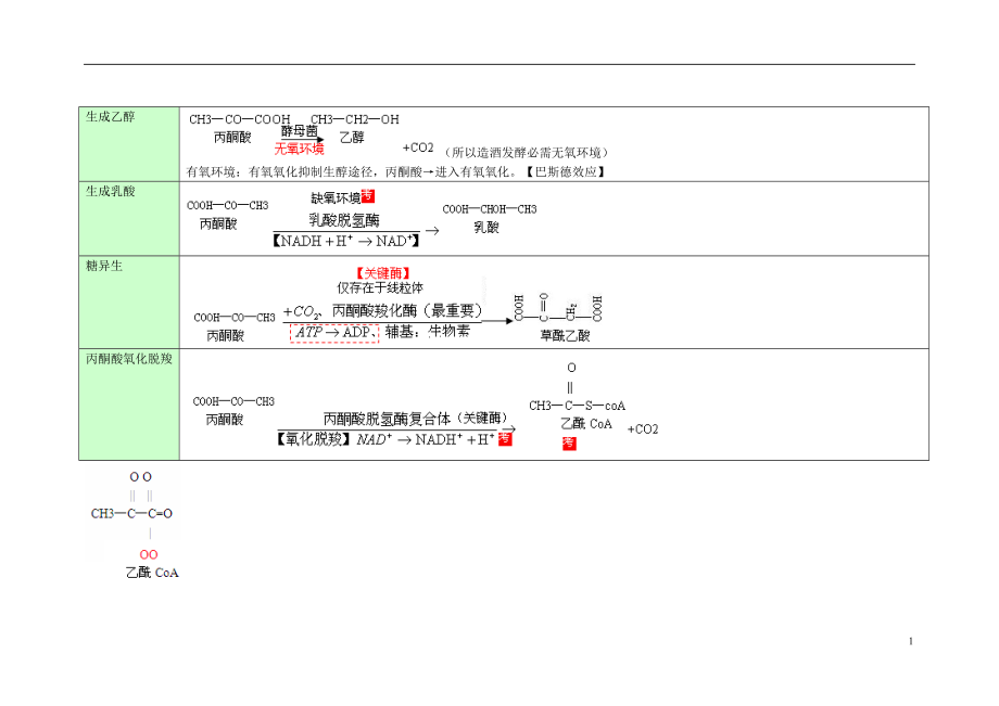 丙酮酸代谢通路_第1页