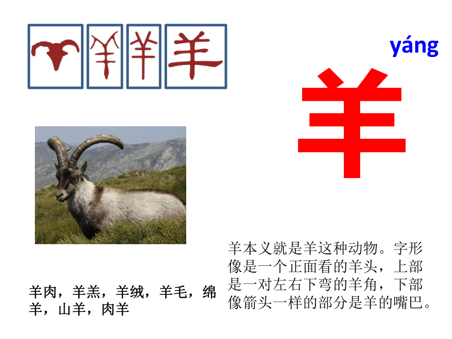 与“羊”有关的汉字概述_第1页