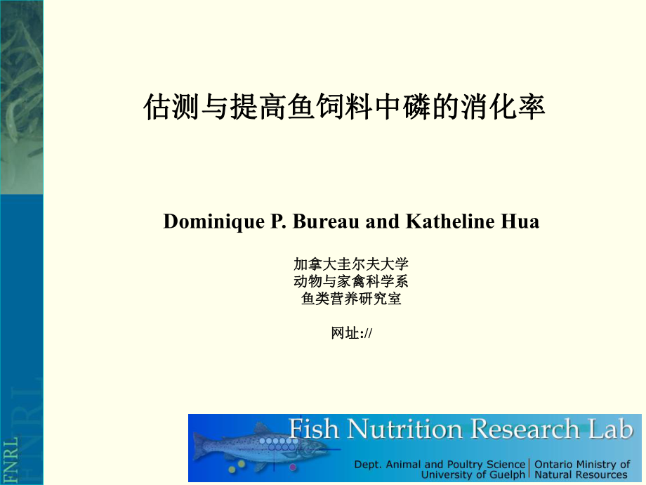 估测与提高鱼饲料中磷的消化率PPT课件_第1页