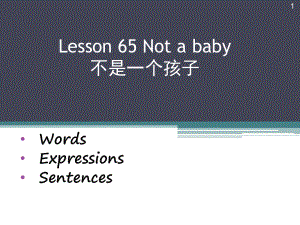 新概念第一册lesson65Notaba不再是个孩子了课堂PPT