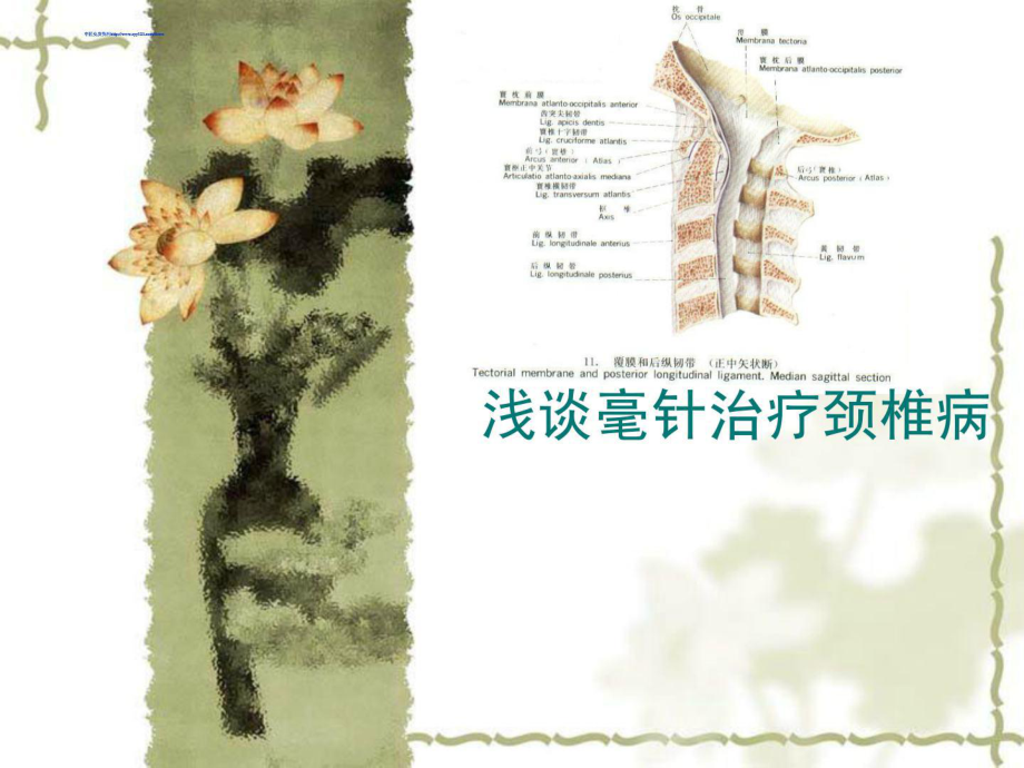 精彩3颈椎病针灸疗法课件_第1页