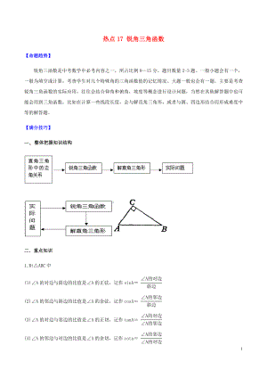 2020中考數(shù)學(xué)熱點(diǎn)專練17 銳角三角函數(shù)（含解析）