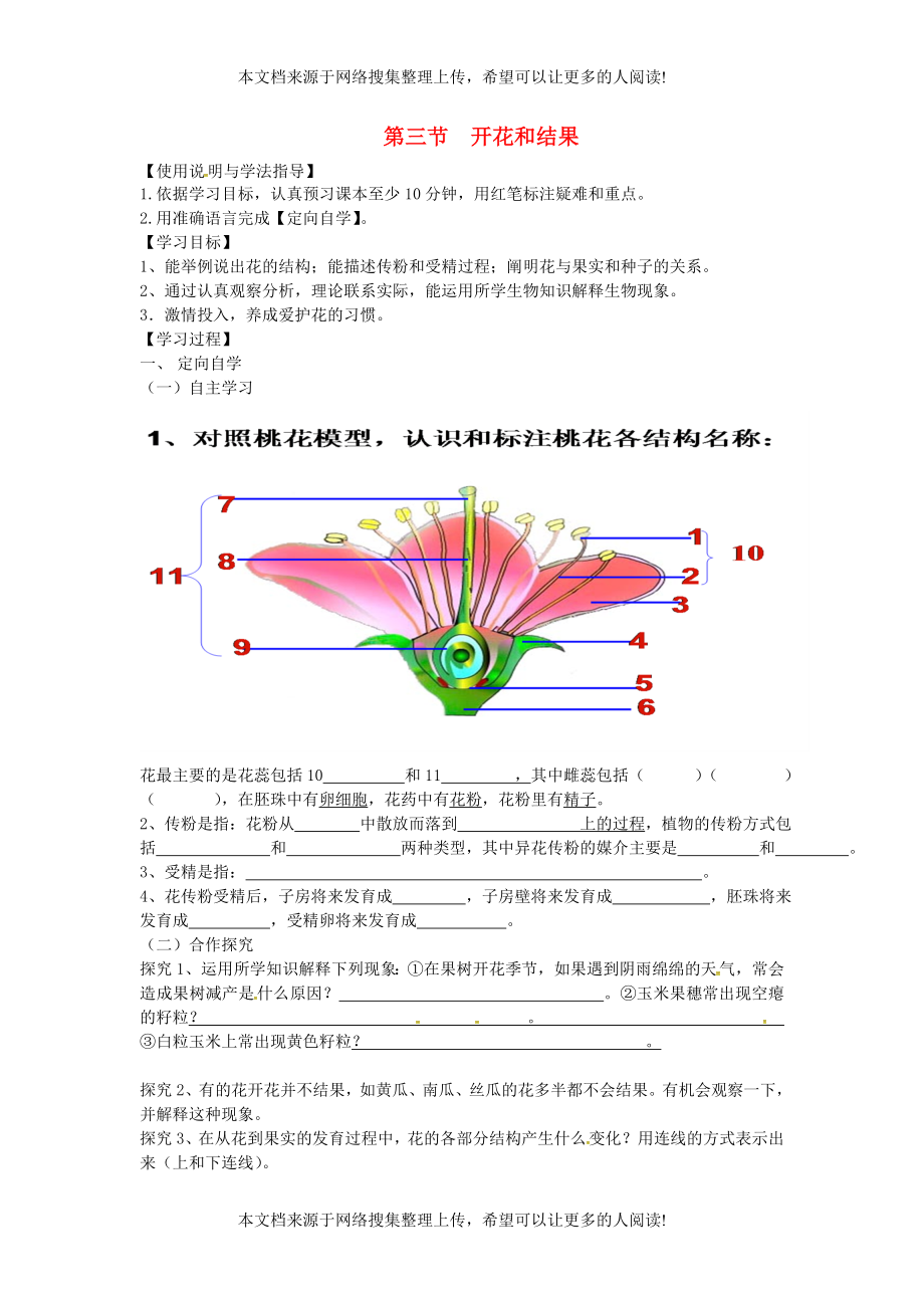 湖南省桑植縣七年級生物上冊 第三單元 第二章 第三節(jié) 開花和結(jié)果導學案（無答案）（新版）新人教版_第1頁