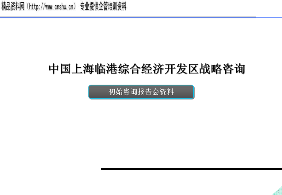 上海临港综合经济开发区战略咨询报告（PPT24页）_第1页