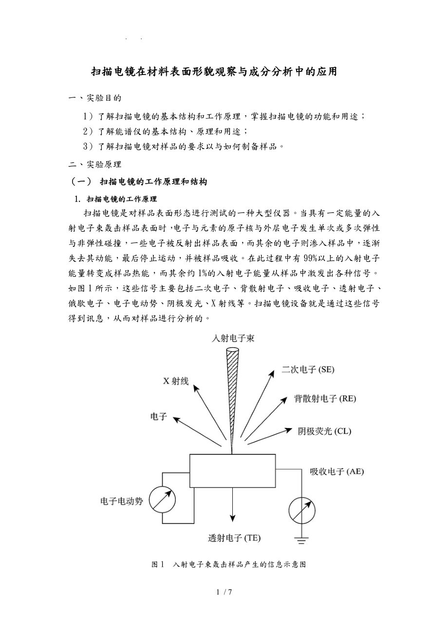 扫描电镜在材料表面形貌观察与成分分析中的应用_第1页