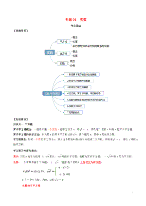 2020年中考數(shù)學(xué)一輪復(fù)習(xí) 基礎(chǔ)考點(diǎn)及題型 專題04 實(shí)數(shù)（含解析）