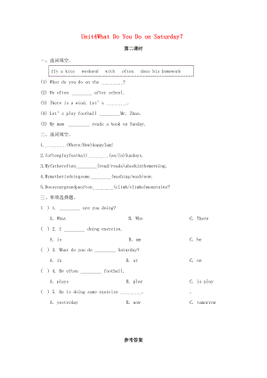 2022年四年級(jí)英語(yǔ)下冊(cè) Unit 4 What do you do on Saturday（第2課時(shí)）練習(xí)題 陜旅版