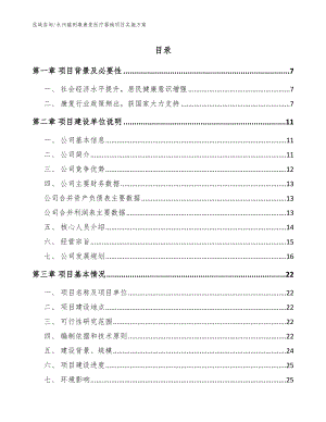 永州磁刺激康复医疗器械项目实施方案（范文参考）