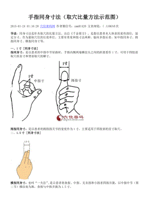 手指同身寸法(取穴比量方法示范图)