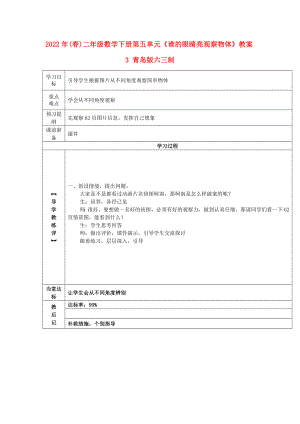 2022年(春)二年級數(shù)學下冊 第五單元《誰的眼睛亮 觀察物體》教案3 青島版六三制