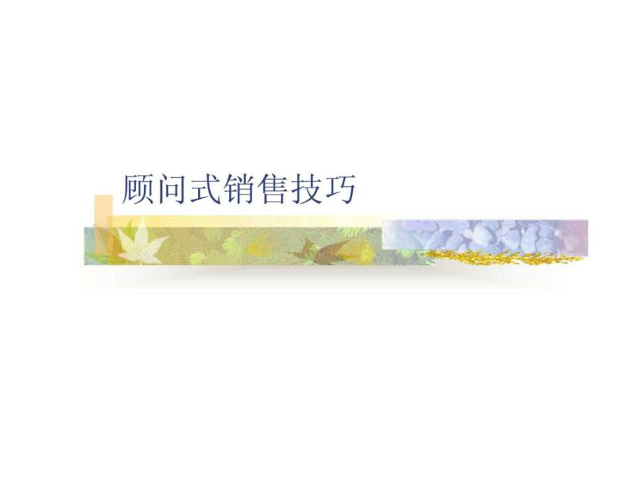 顾问式销售技巧1课件_第1页