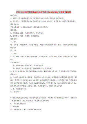 2021-2022年三年級品德與社會下冊 當(dāng)災(zāi)難來臨時3教案 冀教版