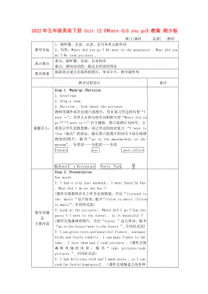 2022年五年級(jí)英語(yǔ)下冊(cè) Unit 12《Where did you go》教案 湘少版