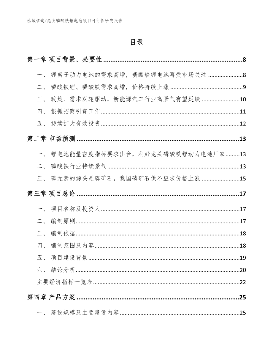 昆明磷酸铁锂电池项目可行性研究报告（范文参考）_第1页