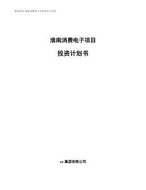 淮南消费电子项目投资计划书【参考模板】