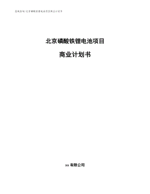 北京磷酸铁锂电池项目商业计划书