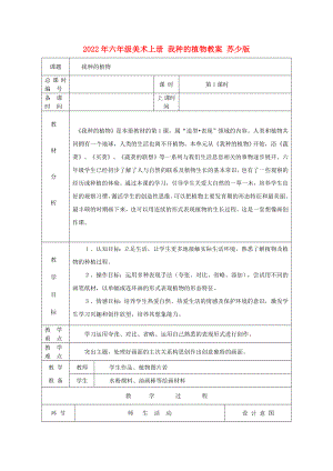 2022年六年級美術(shù)上冊 我種的植物教案 蘇少版