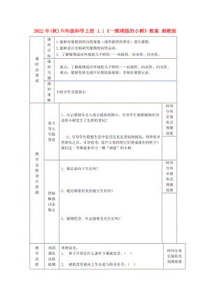 2022年(秋)六年級(jí)科學(xué)上冊(cè) 1.1《一棵頑強(qiáng)的小樹(shù)》教案 湘教版