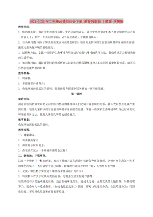 2021-2022年二年級(jí)品德與社會(huì)下冊(cè) 美好的家園 1教案 浙教版