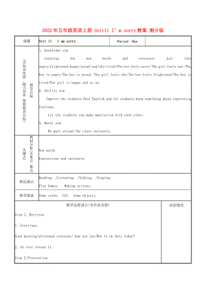 2022年五年級(jí)英語(yǔ)上冊(cè) Unit11 I’m sorry教案 湘少版