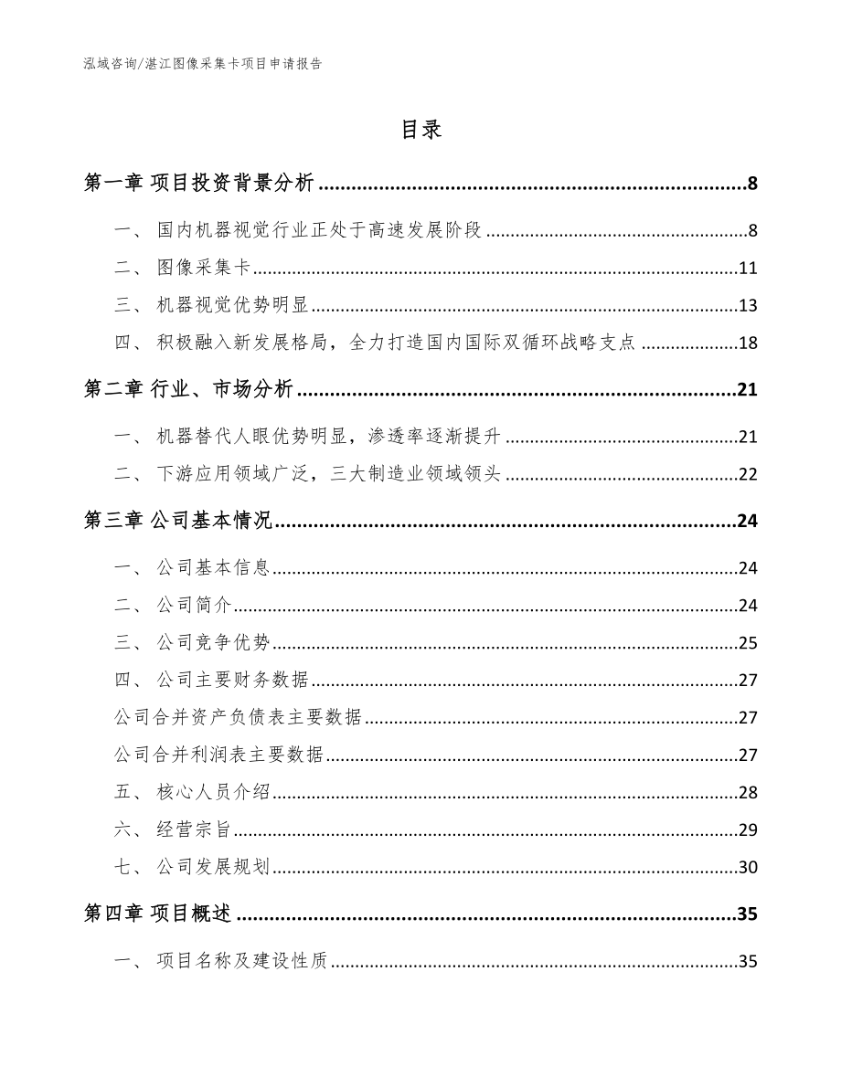 湛江图像采集卡项目申请报告_模板_第1页