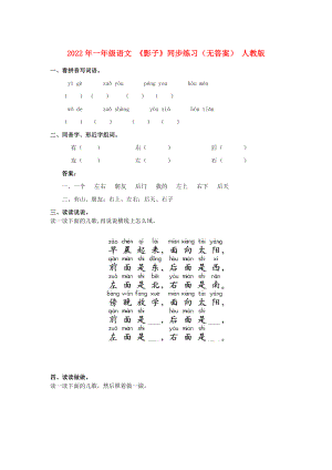 2022年一年級(jí)語(yǔ)文 《影子》同步練習(xí)（無(wú)答案） 人教版