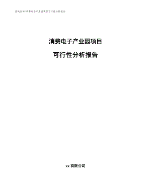 消费电子产业园项目可行性分析报告模板范文