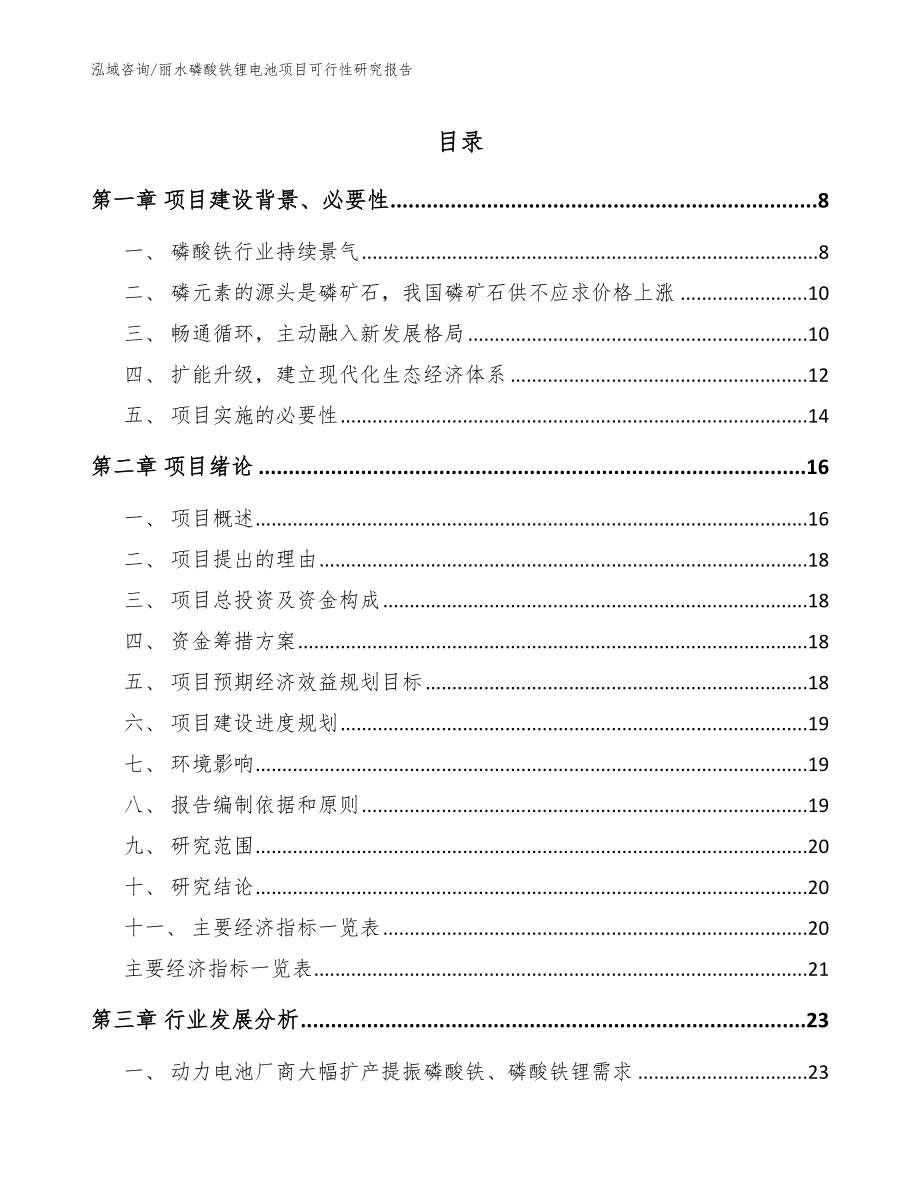 丽水磷酸铁锂电池项目可行性研究报告（模板范本）_第1页