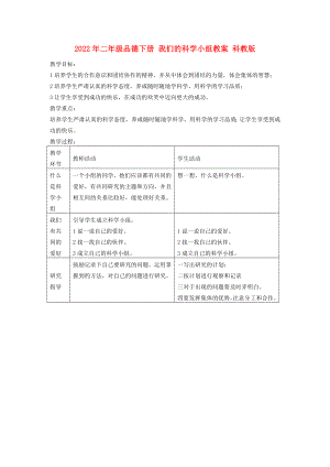 2022年二年級(jí)品德下冊(cè) 我們的科學(xué)小組教案 科教版