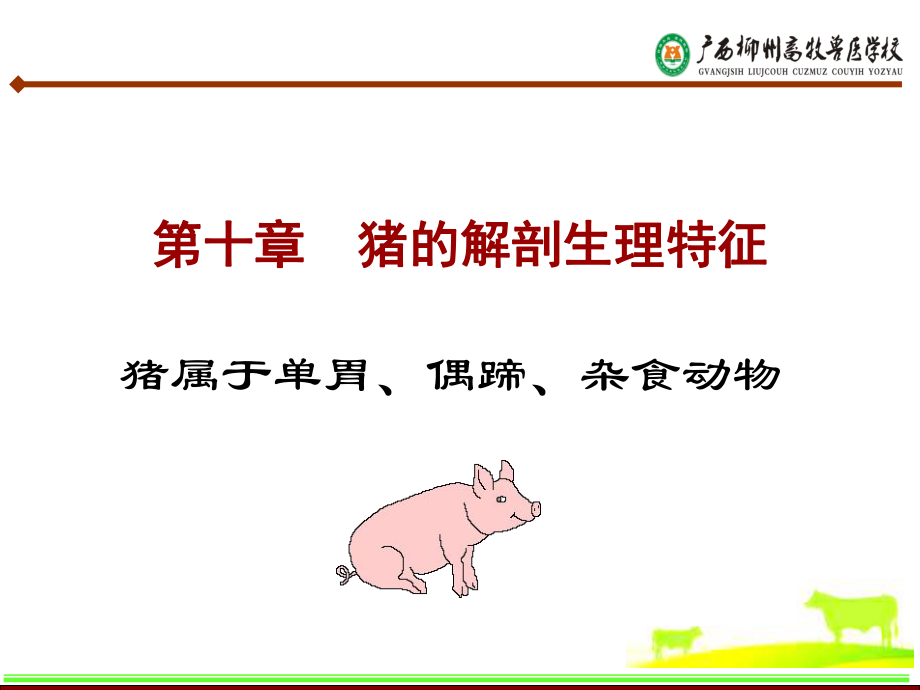 猪的解剖生理特征课件_第1页