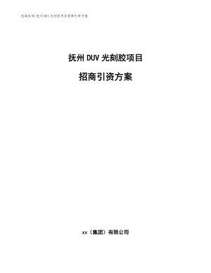 抚州DUV光刻胶项目招商引资方案