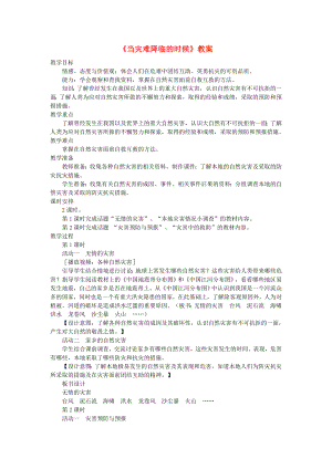 六年級品德與社會下冊 第二單元 人類的家園 3 當災難降臨的時候教案3 新人教版