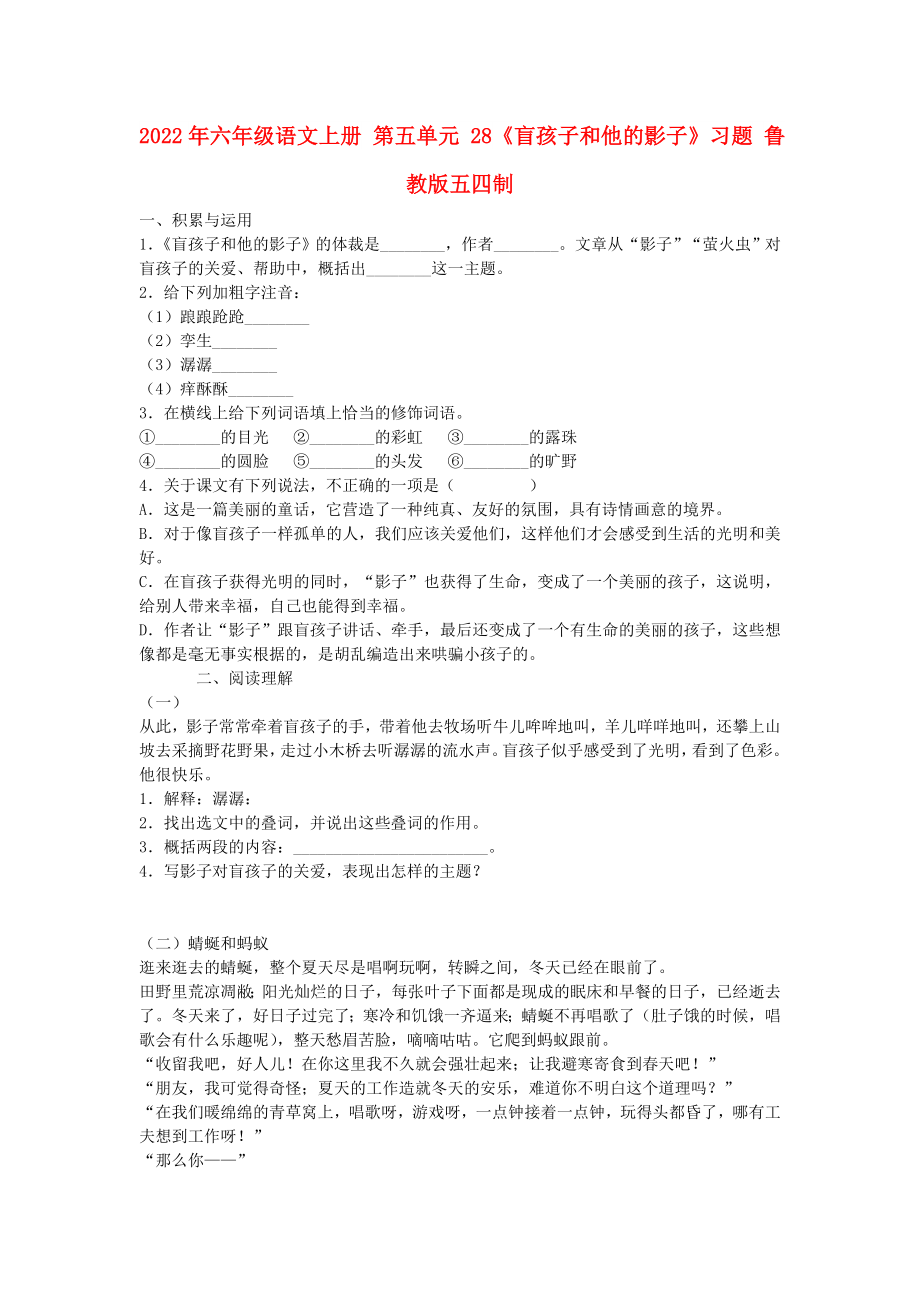 2022年六年級(jí)語文上冊(cè) 第五單元 28《盲孩子和他的影子》習(xí)題 魯教版五四制_第1頁