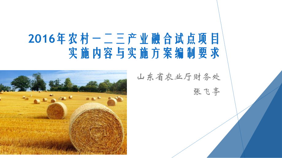 山东省农村一二三产业融合试点项目实施内容和实施方案要求课件_第1页