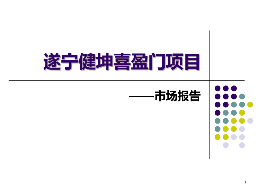 某公司项目市场定位报告_第1页