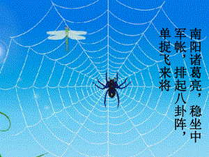 最新六年级语文下册蜘蛛课件1