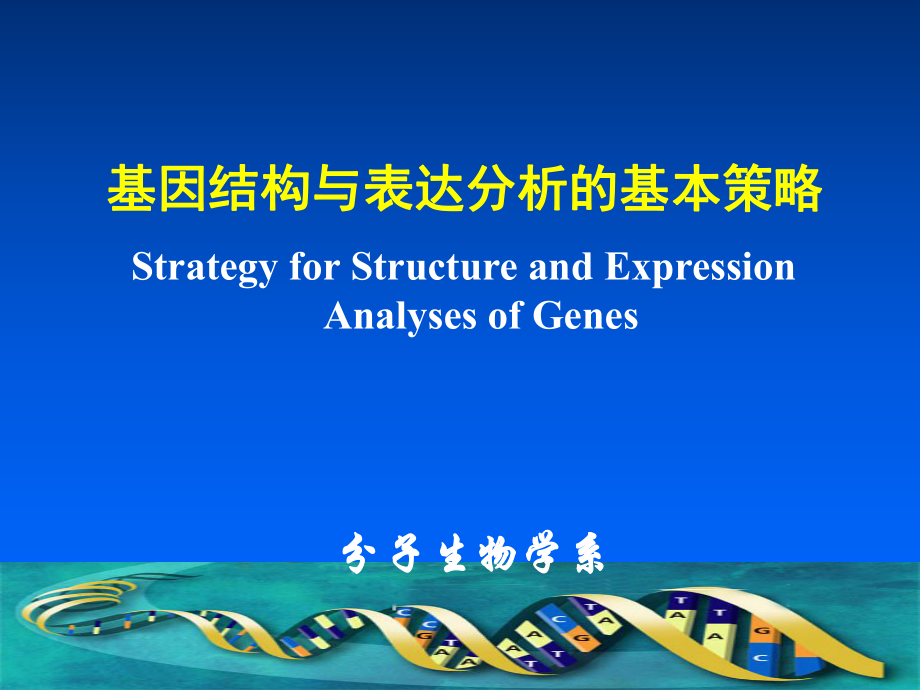 基因结构与表达分析的基本策略教材_第1页