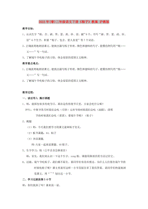 2022年(春)二年级语文下册《粽子》教案 沪教版