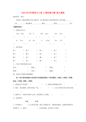 2022年五年級(jí)語(yǔ)文上冊(cè) 6.梅花魂習(xí)題 新人教版