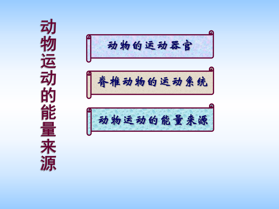 生物：第16章第2节动物运动的能量来源课件（苏教版八年级上）_第1页